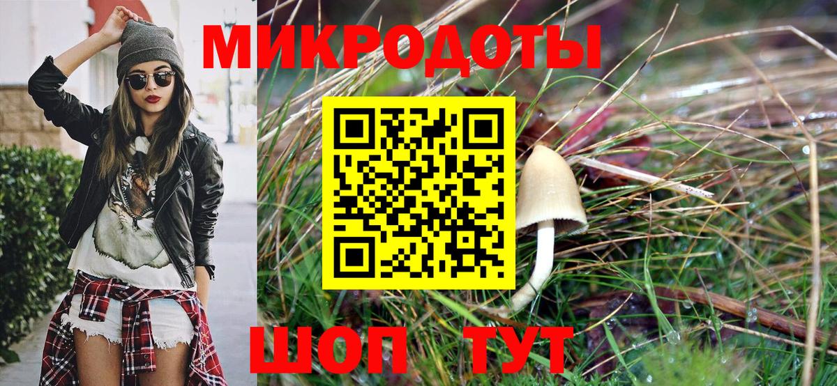 Скопин  Галлюциногенные грибы Psilocybine cubensis  Вход с VPN 